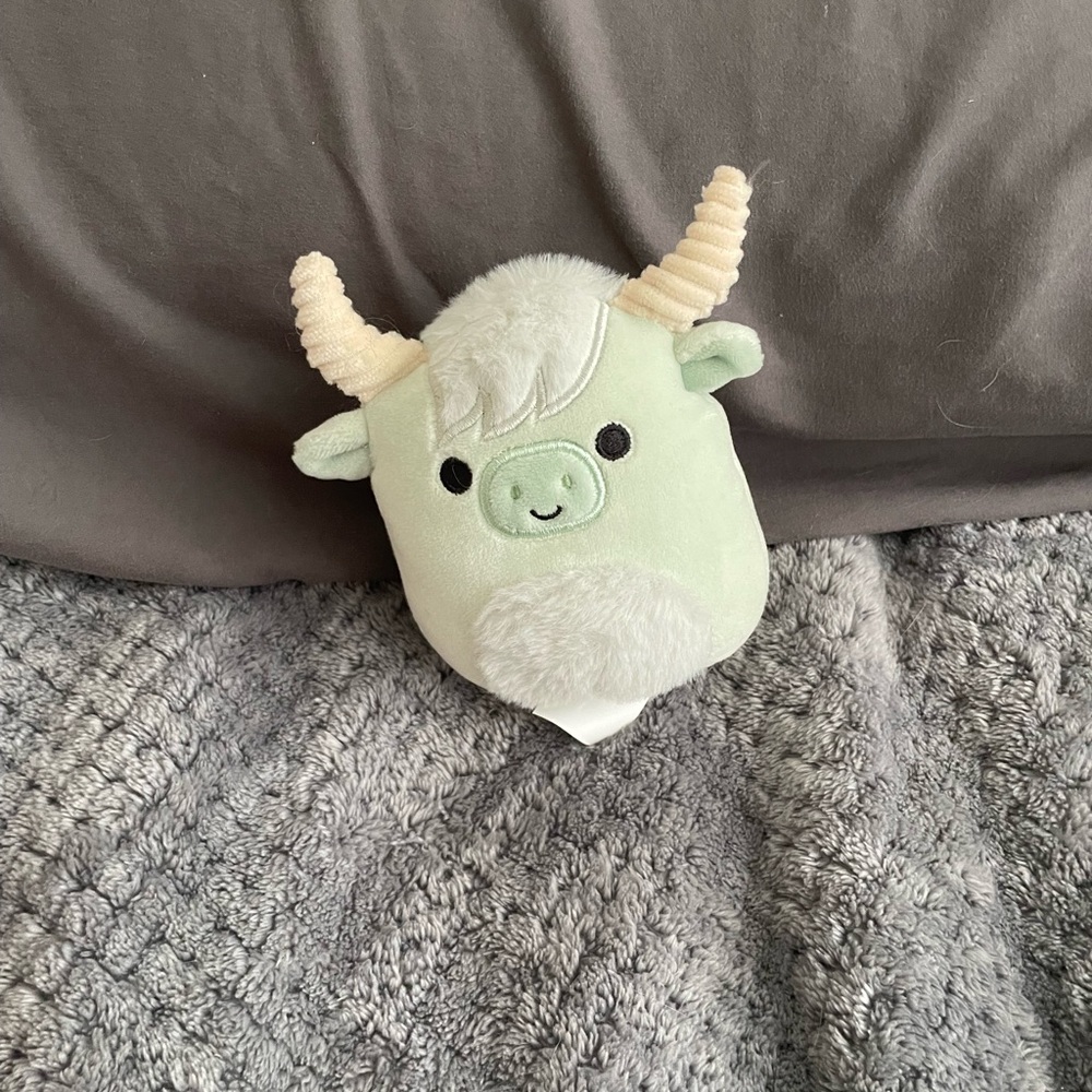Mini Squishmallow